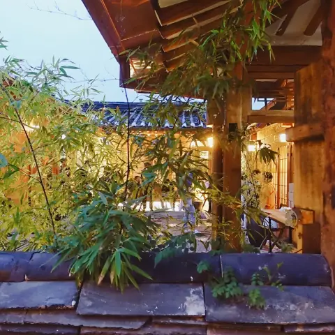Bamboo garden glowing at night in ikseondong hanok village