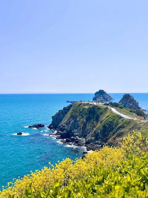 Scenic view of Oryukdo Skywalk and coastal cliffs with spring flowers in Busan
