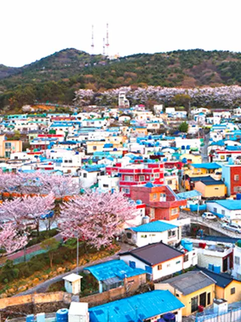 huinnyeoul-village-spring-cherry.webp Huinnyeoul Culture Village with cherry blossoms