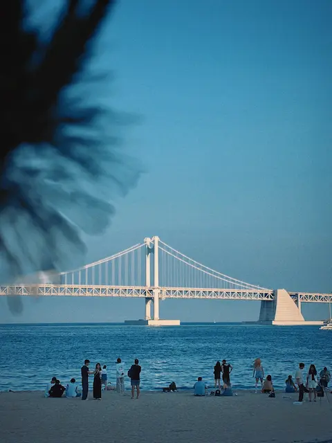 Evening view of Gwangan Bridge from Gwangalli Beach in Busan