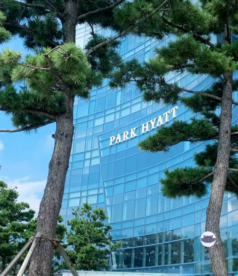park-hyatt-busan-building-sign-through-trees.webp Park Hyatt Busan exterior sign seen through pine trees on a sunny day
