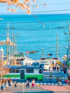 People crossing road near train tracks with ocean backdrop