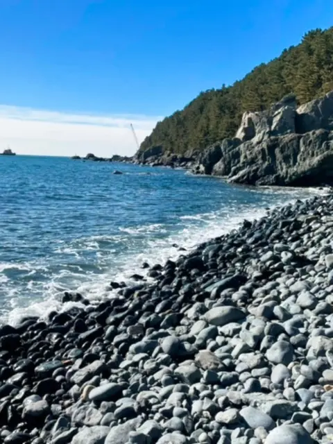 Black pebble Mongdol Beach with pine forest in background