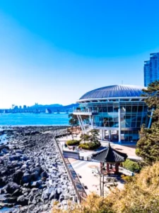 nurimaru apec house day view