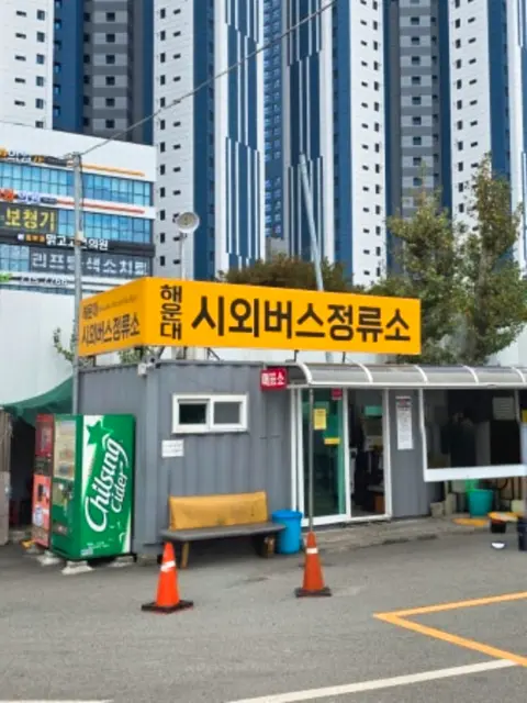From Busan to Gyeongju Haeundae Intercity Bus Stop