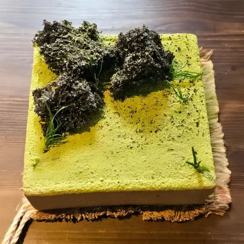 square matcha cake with textured green surface and moss-like decoration