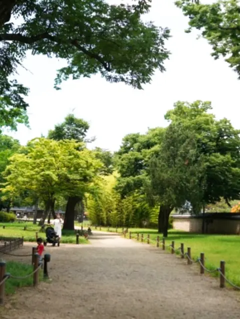 Peaceful park trail inside Gyeonggijeon Shrine on a Jeonju day trip