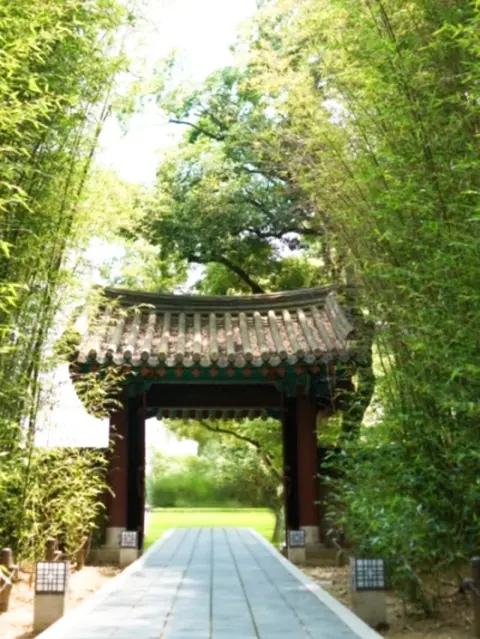 Bamboo-lined gate path at Gyeonggijeon Shrine on a Jeonju day trip