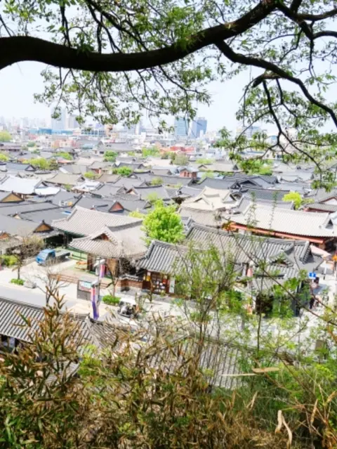Aerial view of hanok rooftops on a Jeonju day trip