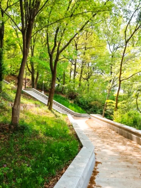 Peaceful forest trail to Omokdae viewpoint on a Jeonju day trip