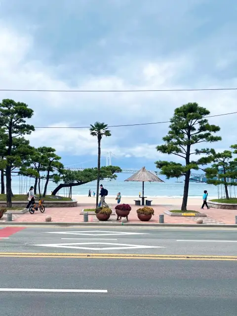 A serene beach view just across Casa Busano Gwangan, where palm trees and ocean breeze frame the iconic Gwangandaegyo Bridge.
