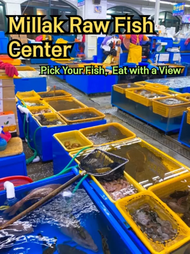 Live seafood tanks lined up inside Millak Raw Fish Center, Busan