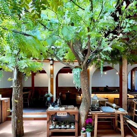 onjisim self bar area with wooden furniture and indoor trees