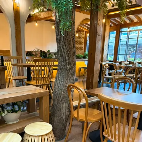 onjisim indoor seating with central tree and wooden chairs